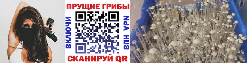 hydra онион  Кореновск  Галлюциногенные грибы Magic Shrooms 